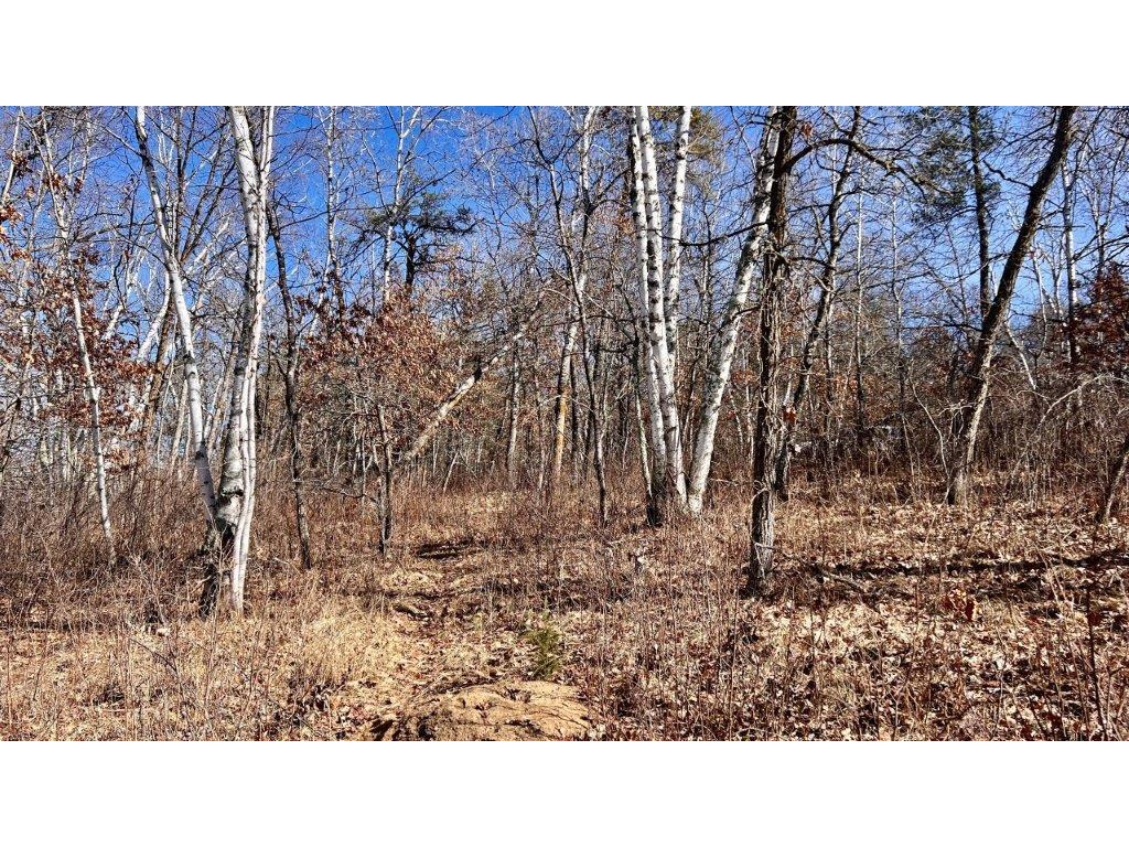 TBD Forest Pines Drive Nevis MN 56467 - Owl 6670875 image1