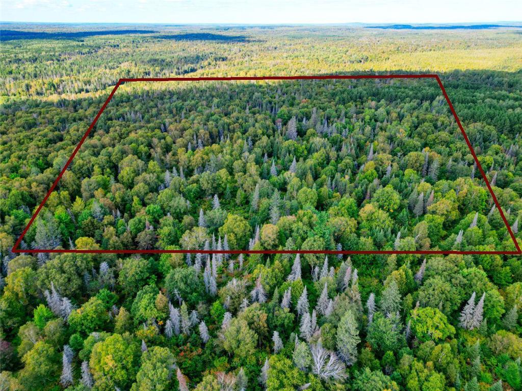 TBD Forest Rd 406 Silver Creek Twp MN 55616 6602277 image1