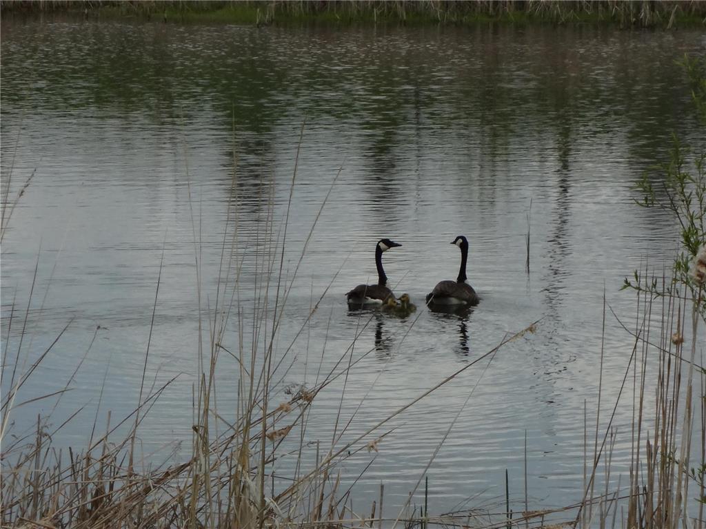 TBD Fortune Creek Trail Faribault MN 55021 7051785 image3