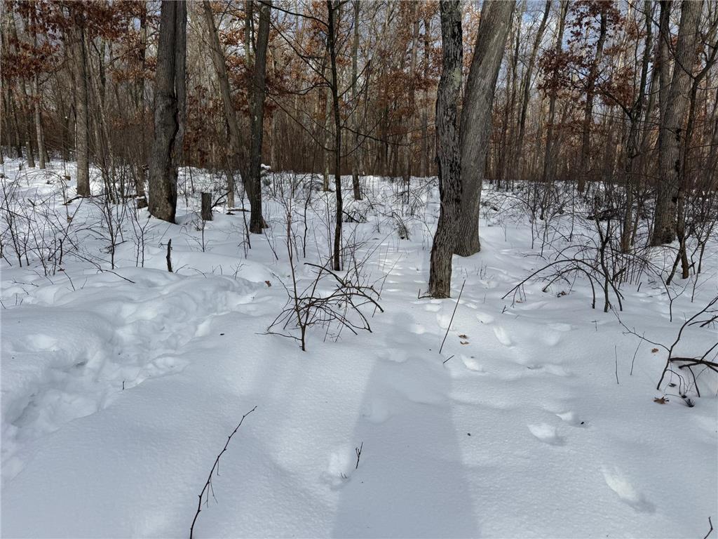 TBD Foss Lane Spooner WI 54801 7017798 image5