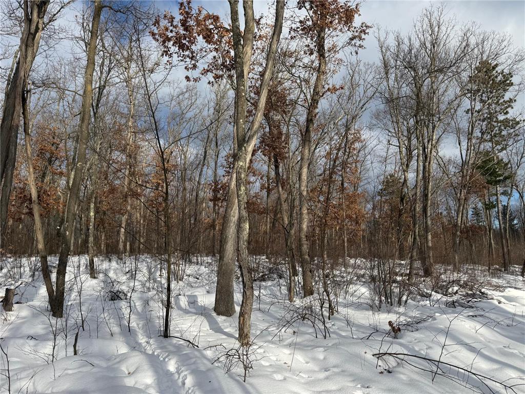 TBD Foss Lane Spooner WI 54801 7017798 image6