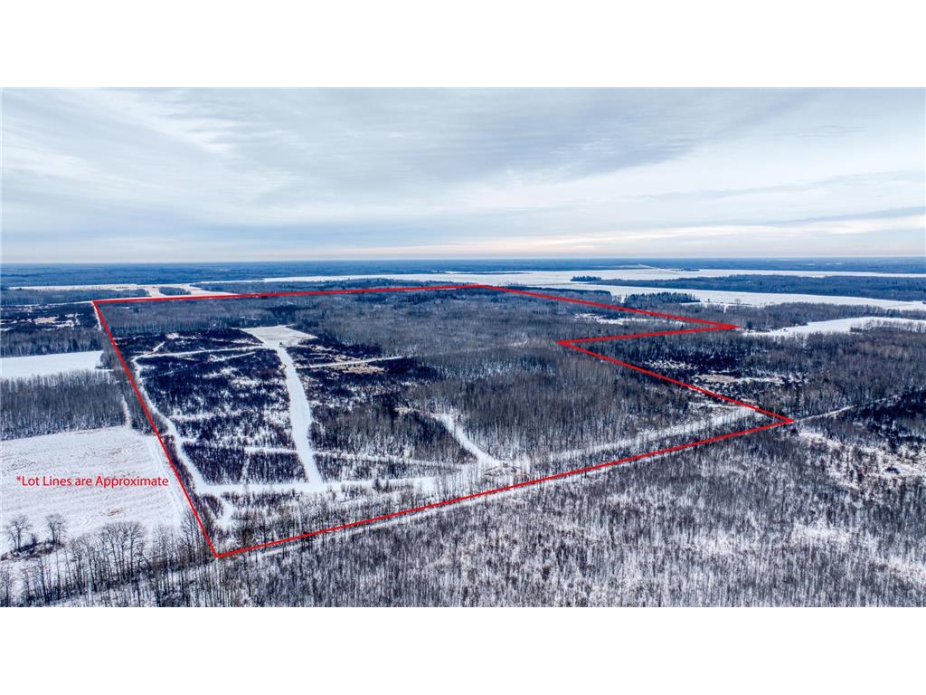 TBD Fourtown Road NW Spruce Grove Twp MN 56727 7003000 image1