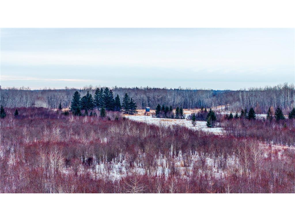 TBD Fourtown Road NW Spruce Grove Twp MN 56727 7003000 image12