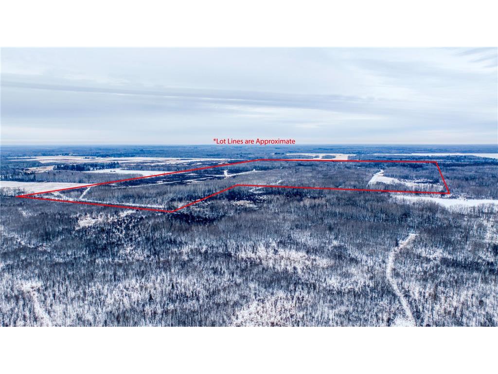 TBD Fourtown Road NW Spruce Grove Twp MN 56727 7003000 image2