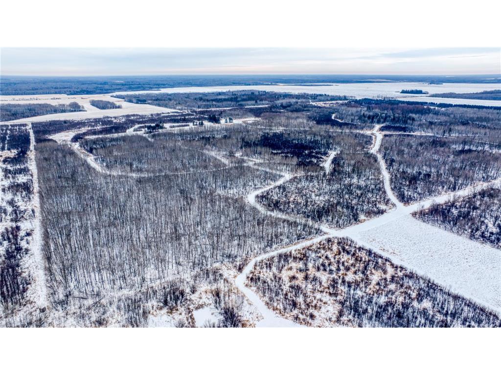 TBD Fourtown Road NW Spruce Grove Twp MN 56727 7003000 image23