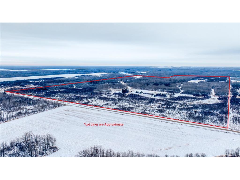 TBD Fourtown Road NW Spruce Grove Twp MN 56727 7003000 image3