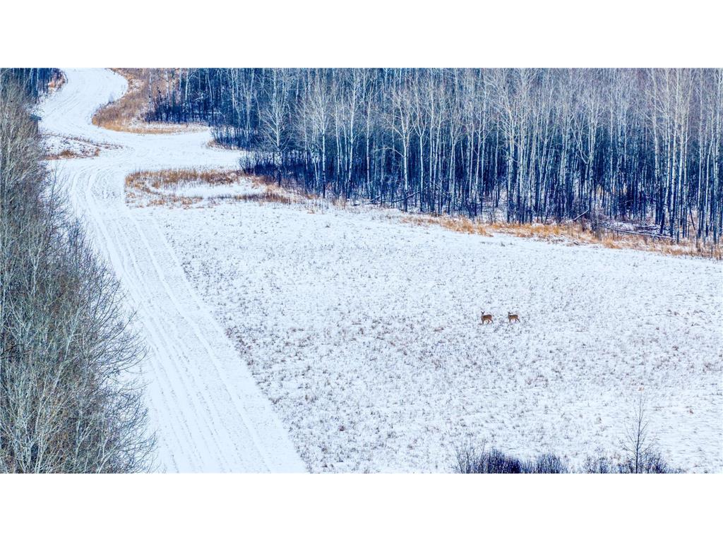 TBD Fourtown Road NW Spruce Grove Twp MN 56727 7003000 image32