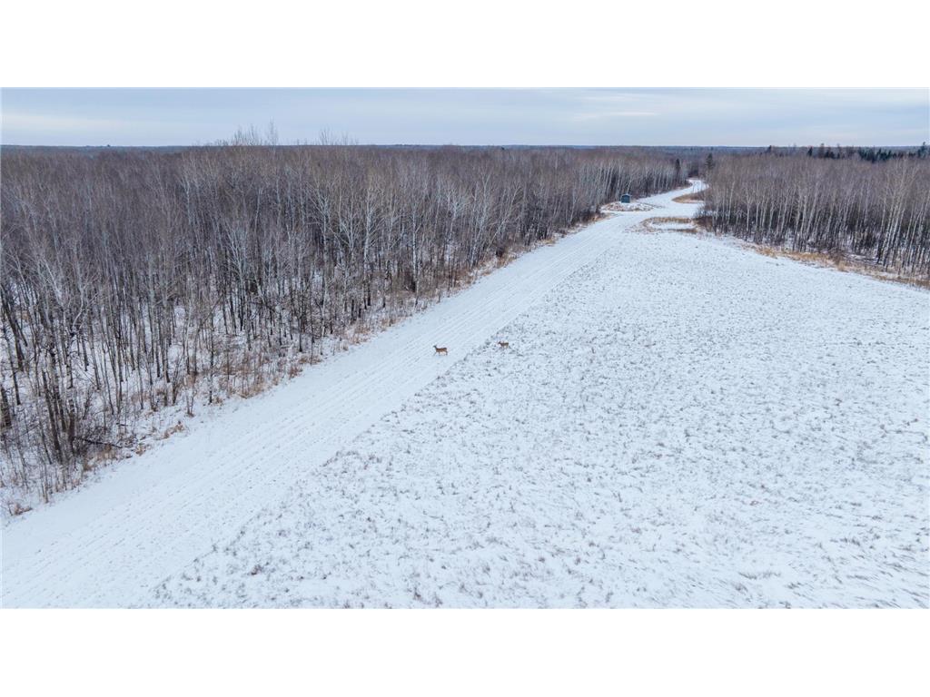 TBD Fourtown Road NW Spruce Grove Twp MN 56727 7003000 image33