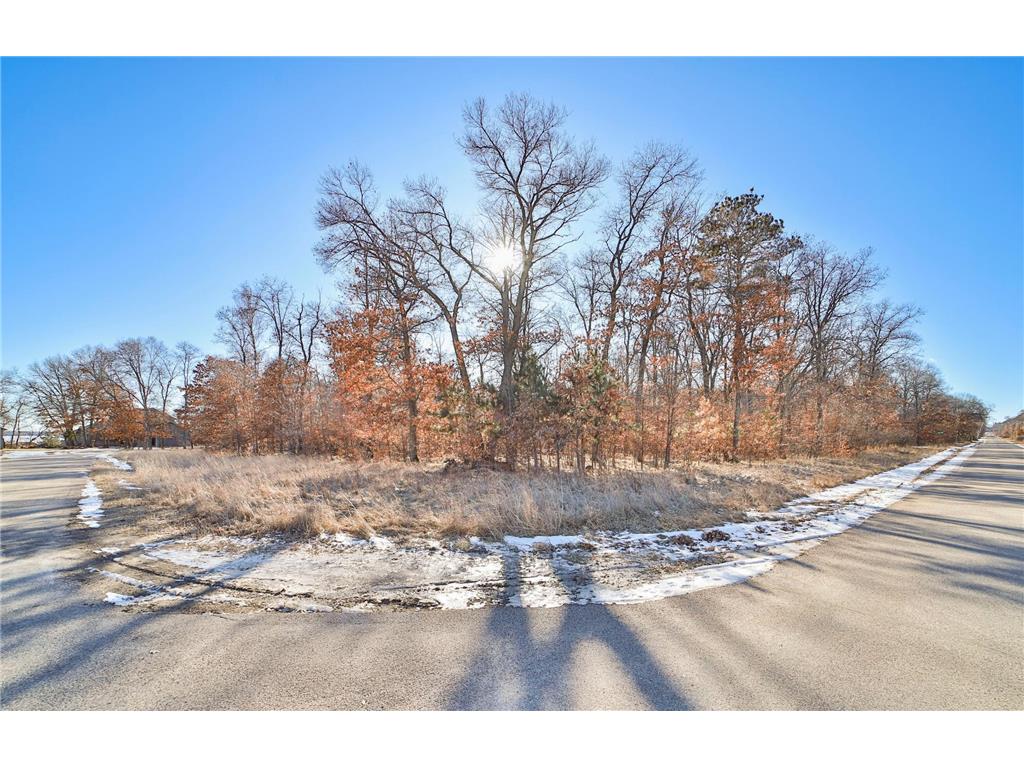 TBD Fox Loop Breezy Point MN 56472 6489052 image1