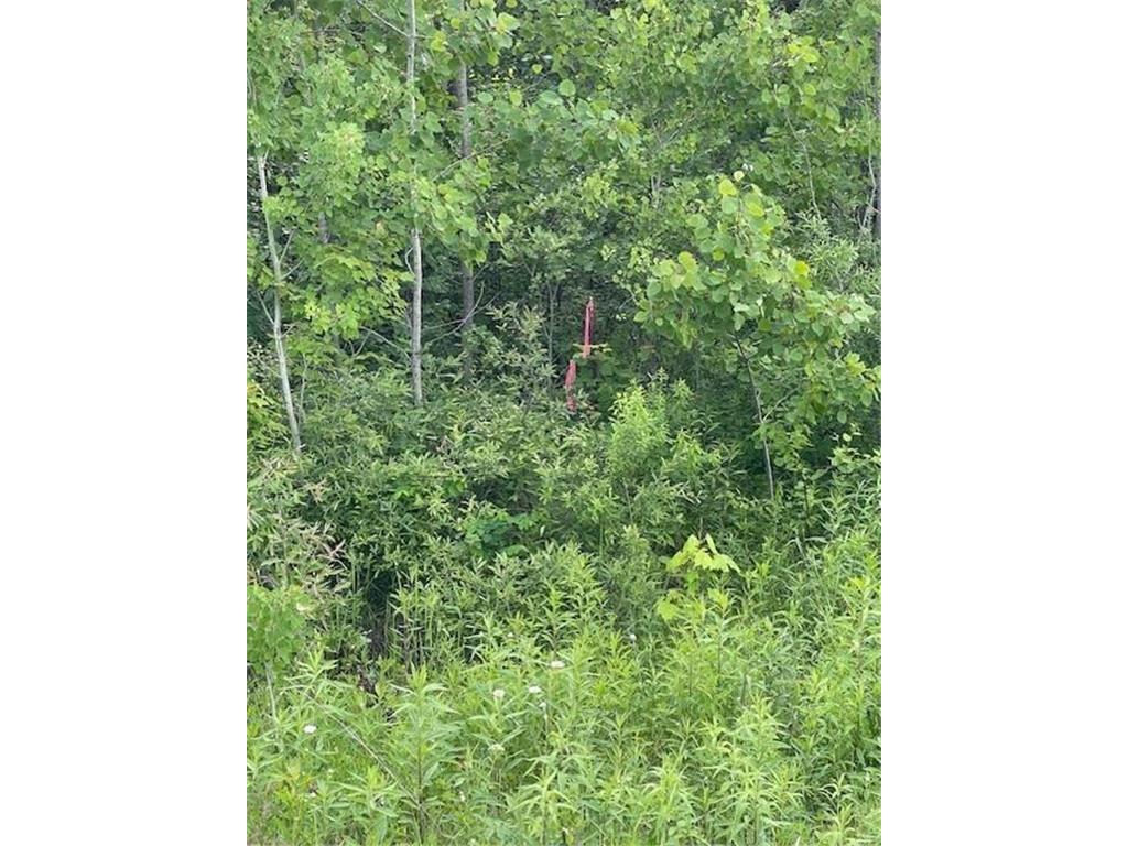 TBD Parcel I Fox Road Hinckley MN 55037 6741784 image1