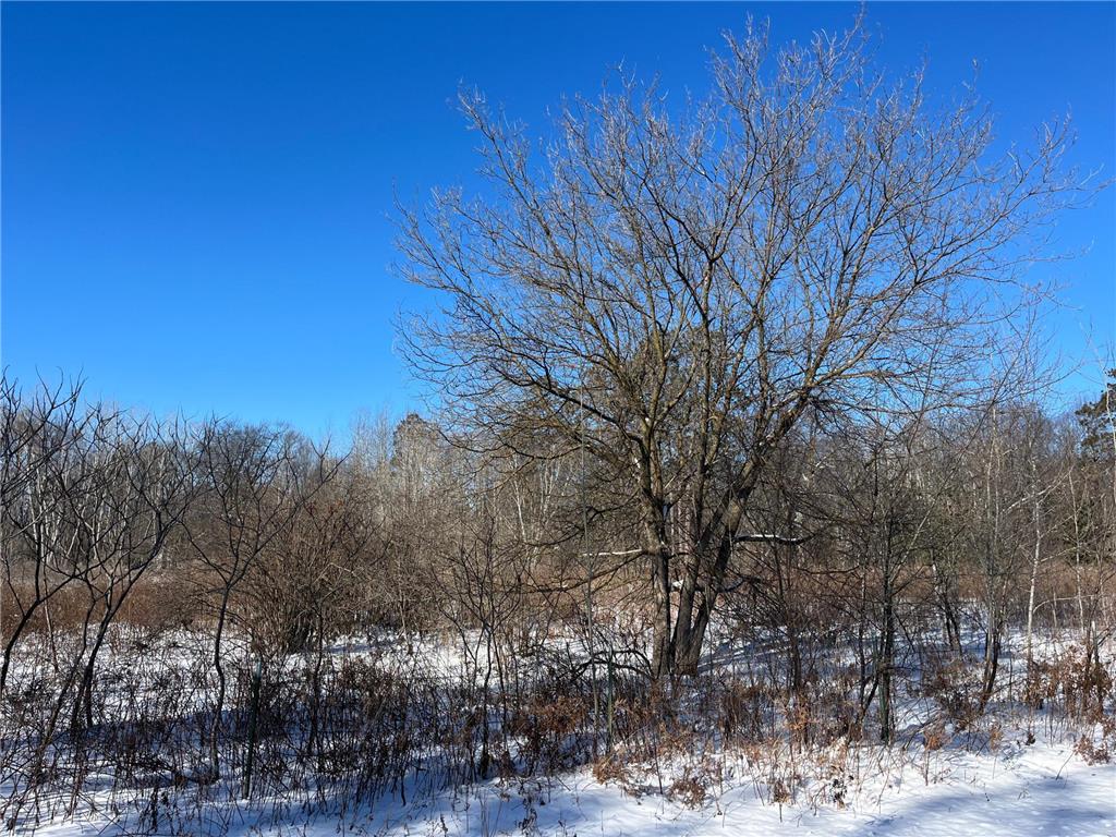 TBD Fox Run Cuyuna MN 56444 6658675 image1