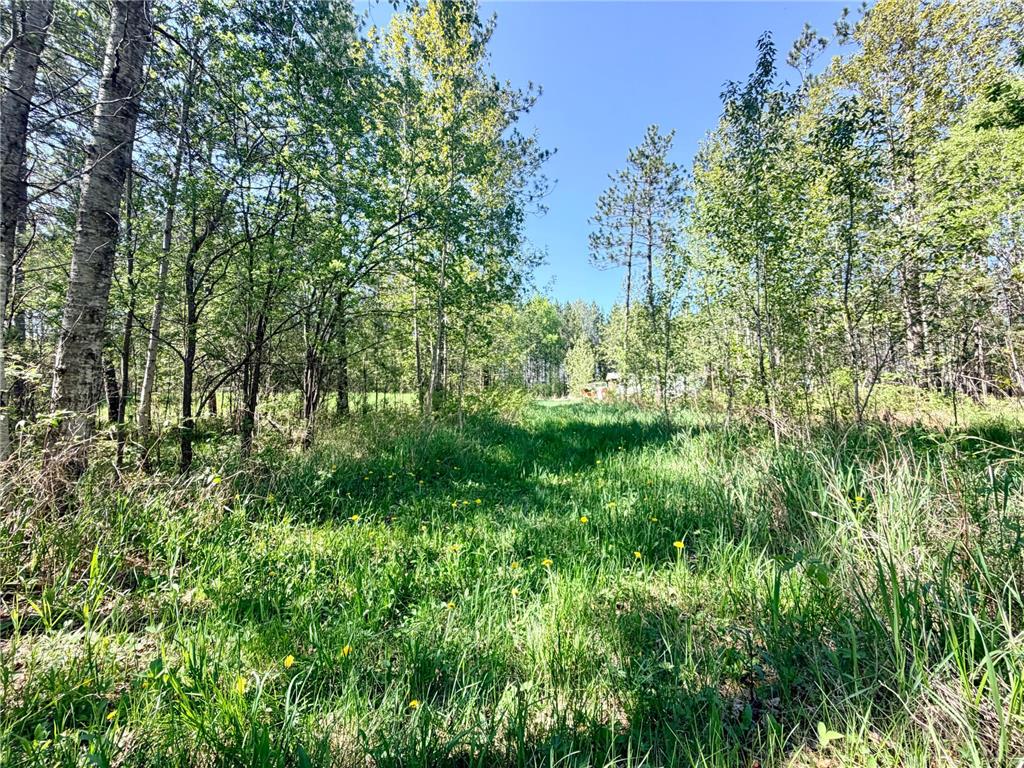 TBD Fraser Road Cherry Twp MN 55751 7079406 image7