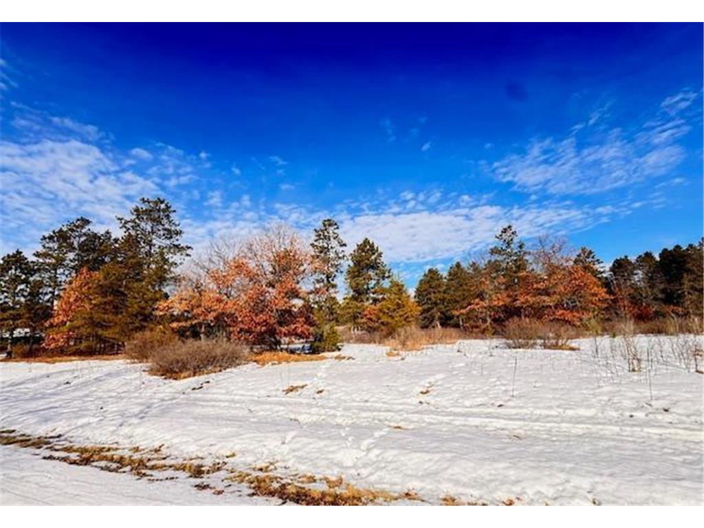 TBD Freedom Drive Blueberry Twp MN 56464 7022945 image4