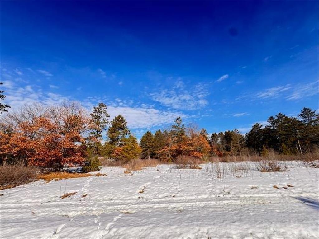 TBD Freedom Drive Blueberry Twp MN 56464 7022945 image6