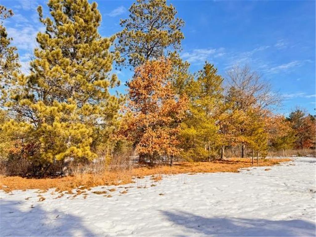 TBD Freedom Drive Blueberry Twp MN 56464 7022945 image8