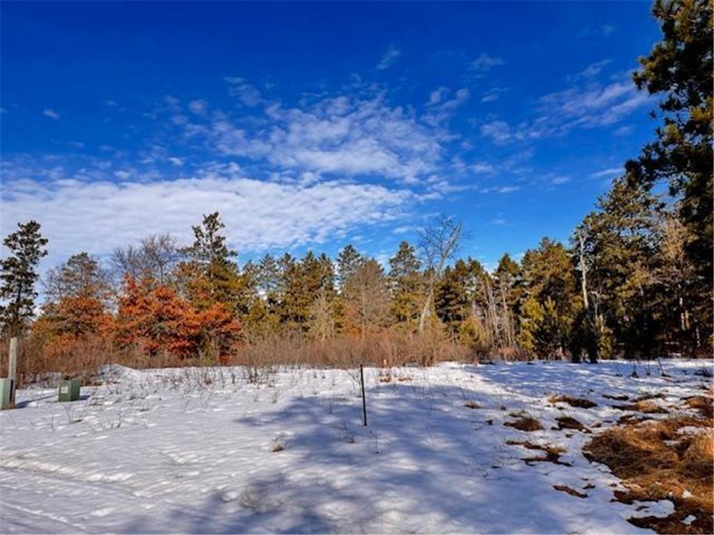 TBD Freedom Drive Blueberry Twp MN 56464 7022945 image9