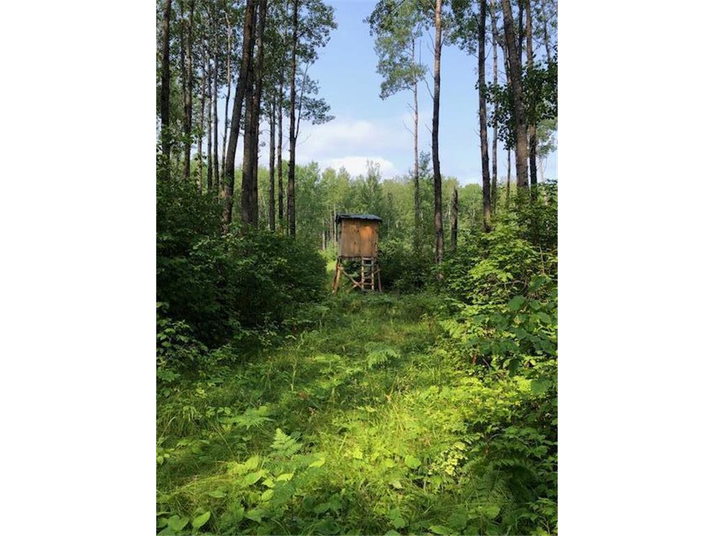 TBD Freestone Rd Grand Rapids MN 55744 6582985 image1