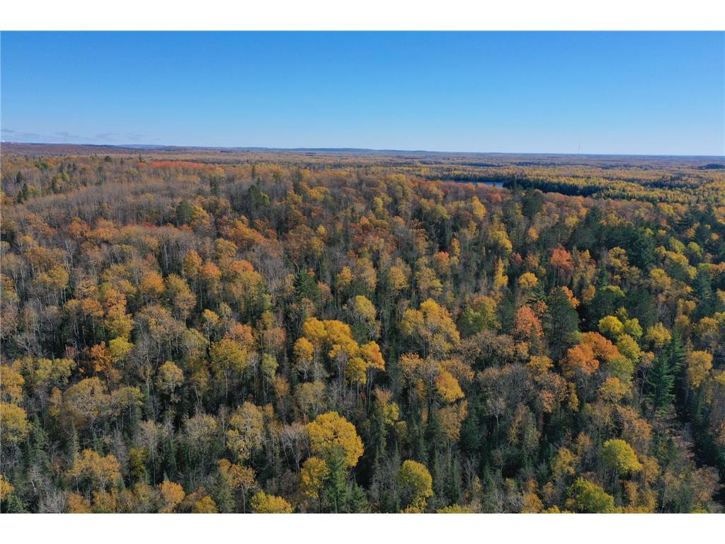 TBD French Rd. Chisholm MN 55719 6805686 image1