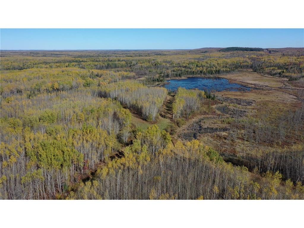 TBD French Rd. Chisholm MN 55719 6805686 image10
