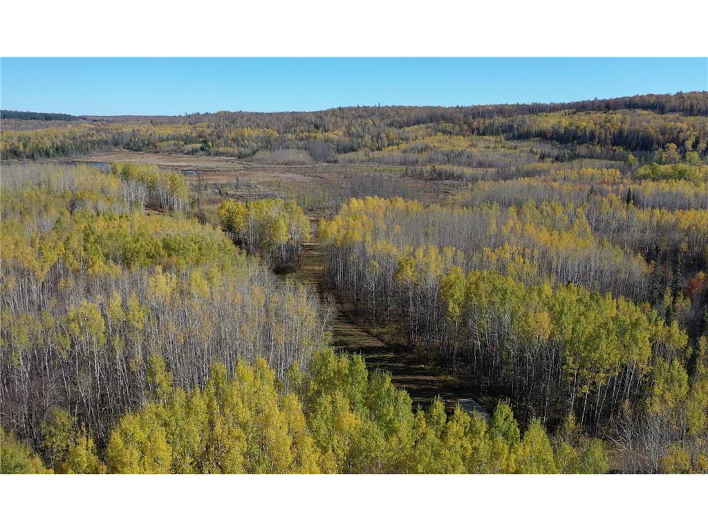 TBD French Rd. Chisholm MN 55719 6805686 image11