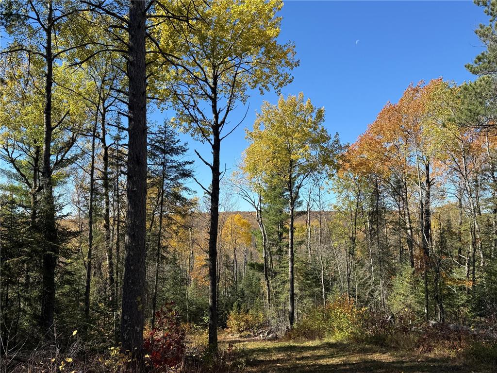 TBD French Rd. Chisholm MN 55719 6805686 image15