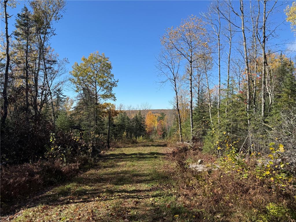 TBD French Rd. Chisholm MN 55719 6805686 image17