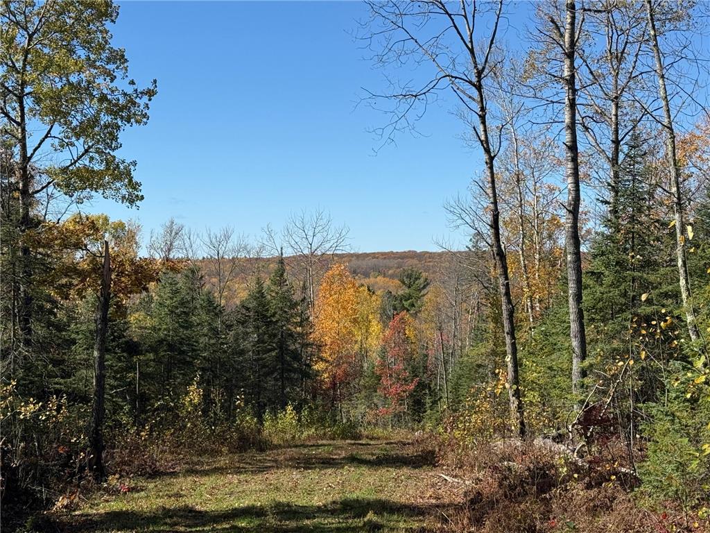 TBD French Rd. Chisholm MN 55719 6805686 image18