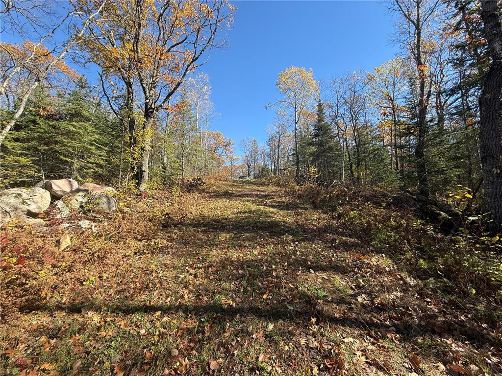 TBD French Rd. Chisholm MN 55719 6805686 image19