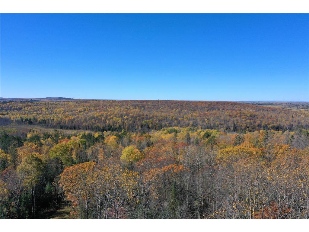 TBD French Rd. Chisholm MN 55719 6805686 image2