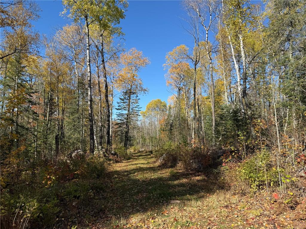 TBD French Rd. Chisholm MN 55719 6805686 image20