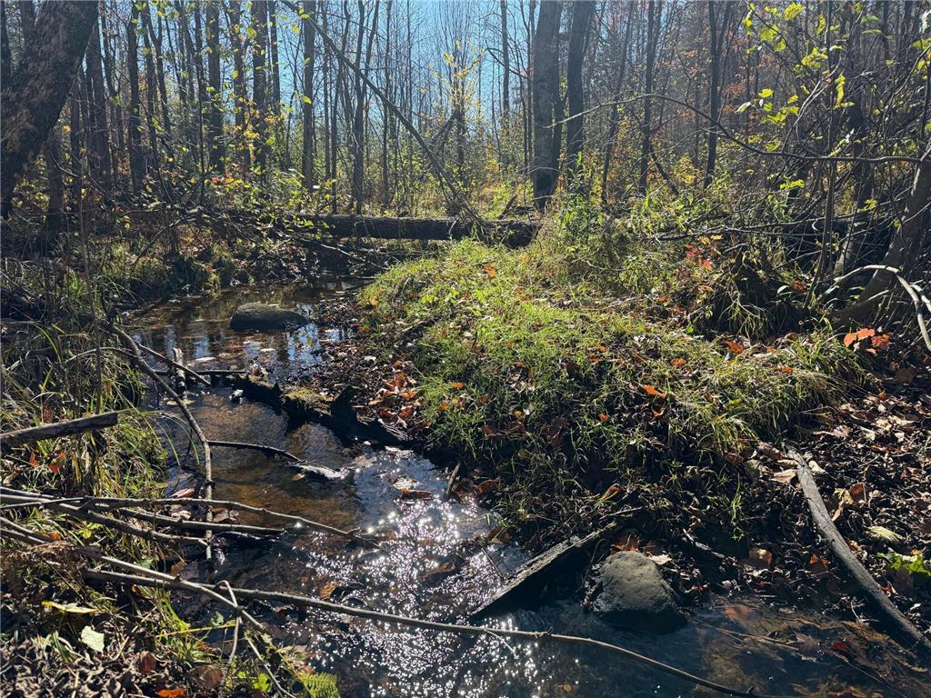 TBD French Rd. Chisholm MN 55719 6805686 image21