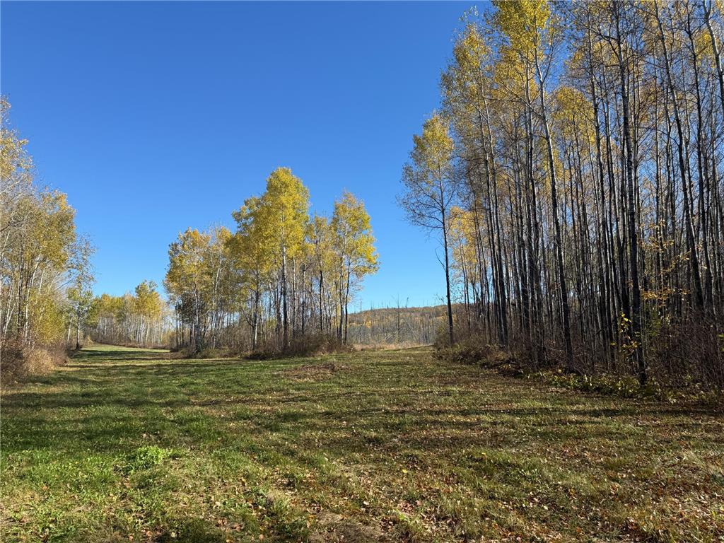 TBD French Rd. Chisholm MN 55719 6805686 image25