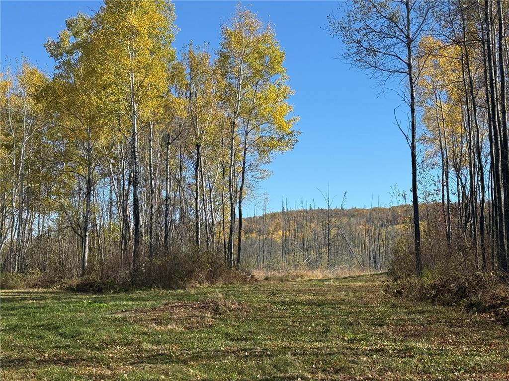 TBD French Rd. Chisholm MN 55719 6805686 image26