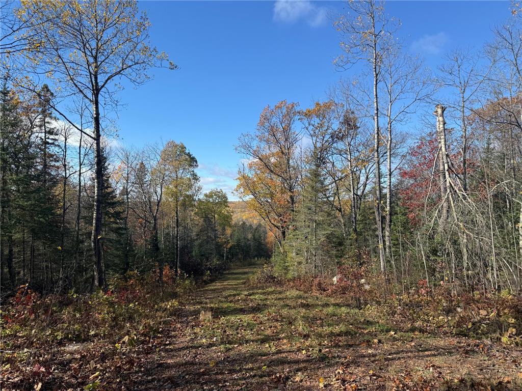 TBD French Rd. Chisholm MN 55719 6805686 image28