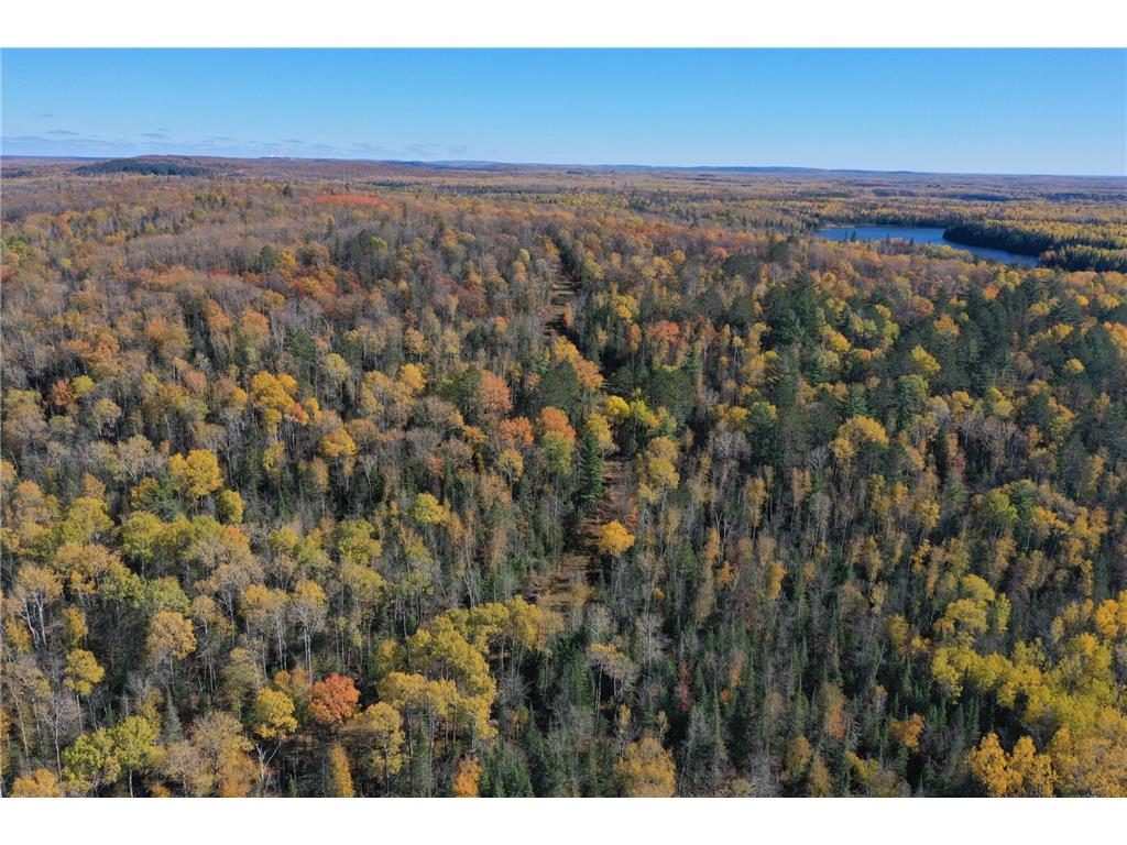 TBD French Rd. Chisholm MN 55719 6805686 image3