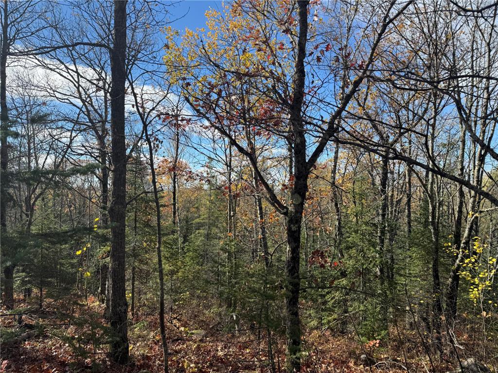 TBD French Rd. Chisholm MN 55719 6805686 image36