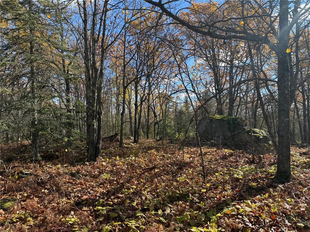 TBD French Rd. Chisholm MN 55719 6805686 image37