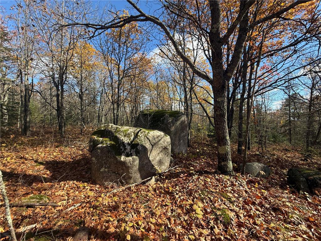 TBD French Rd. Chisholm MN 55719 6805686 image38