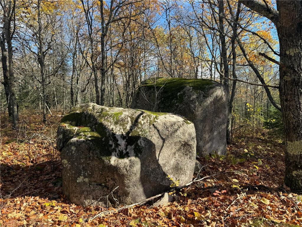 TBD French Rd. Chisholm MN 55719 6805686 image39