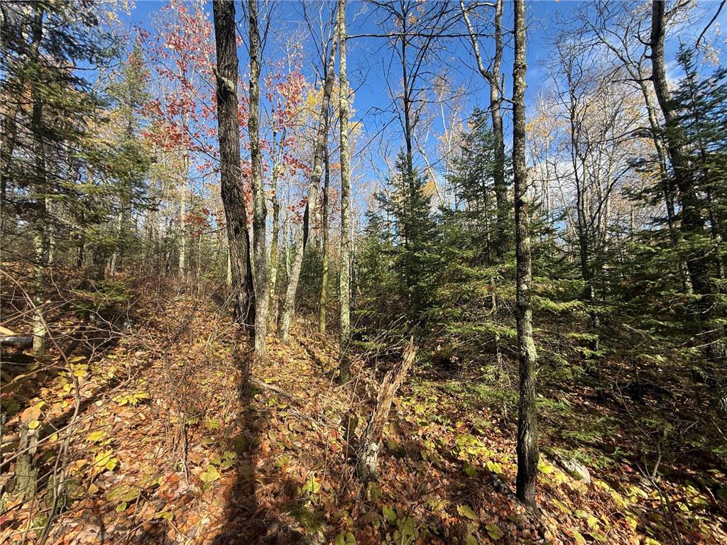 TBD French Rd. Chisholm MN 55719 6805686 image40