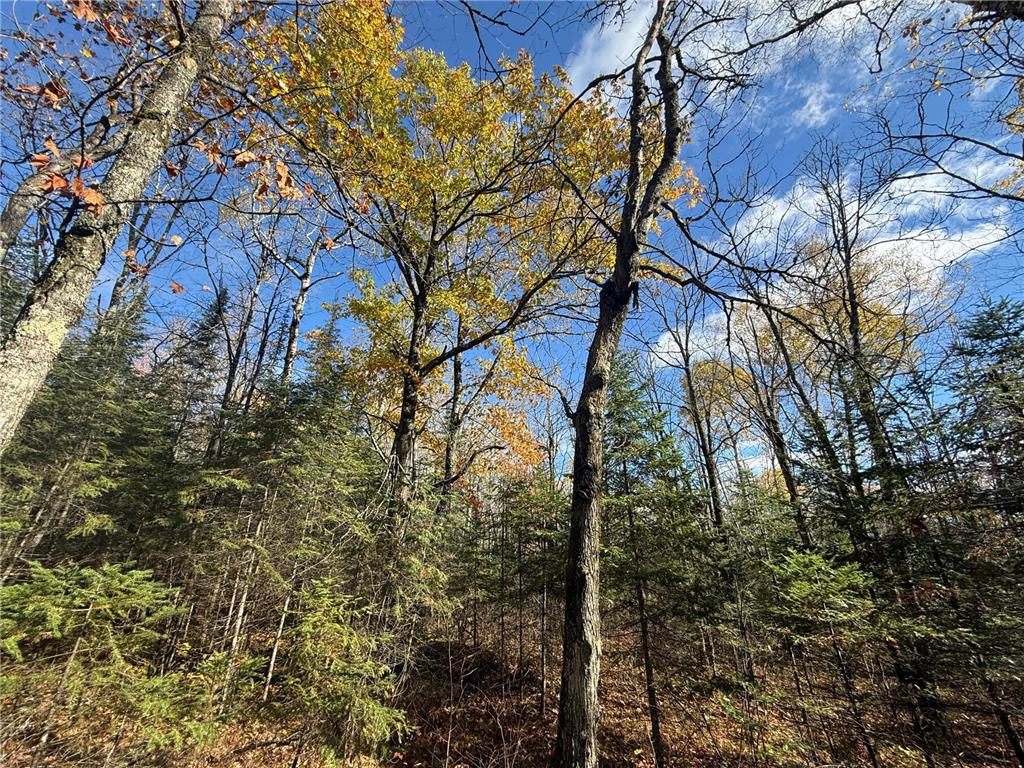 TBD French Rd. Chisholm MN 55719 6805686 image41