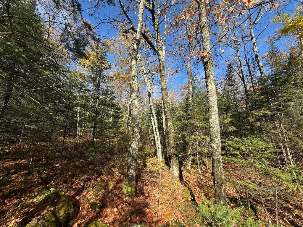 TBD French Rd. Chisholm MN 55719 6805686 image42