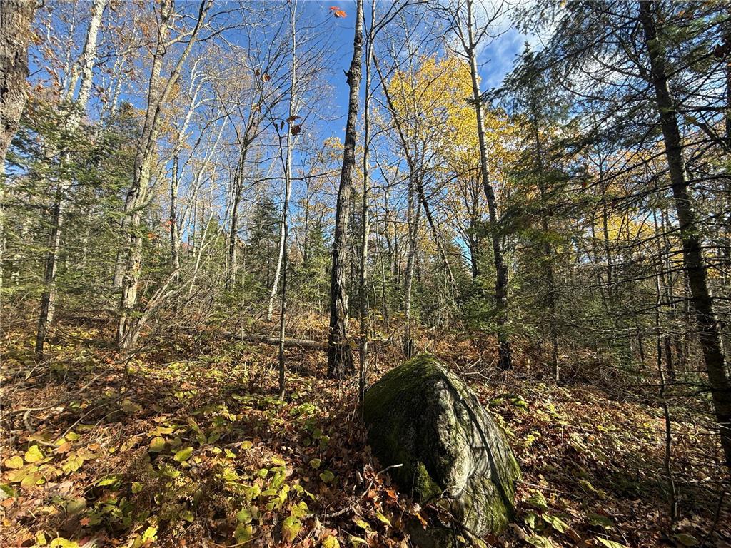 TBD French Rd. Chisholm MN 55719 6805686 image44