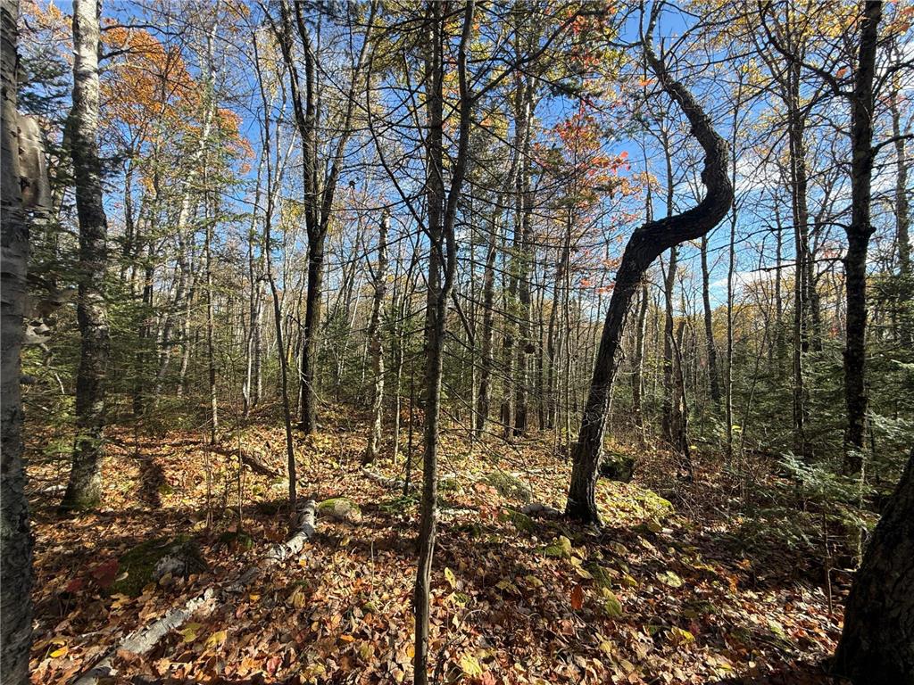 TBD French Rd. Chisholm MN 55719 6805686 image45