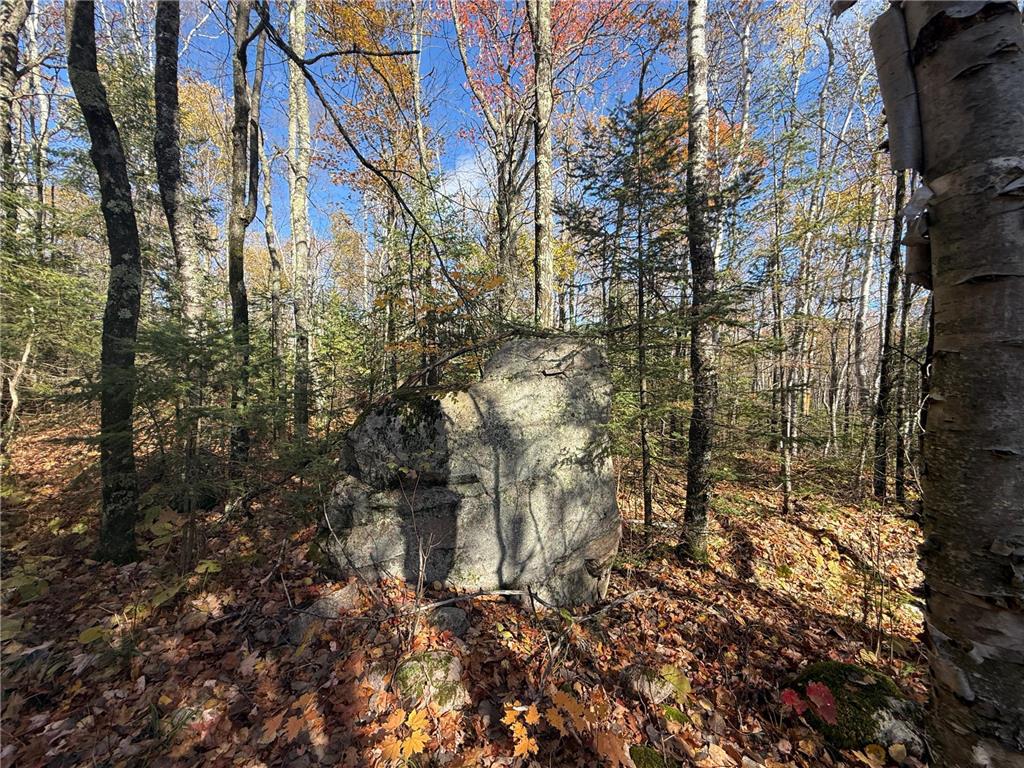 TBD French Rd. Chisholm MN 55719 6805686 image46