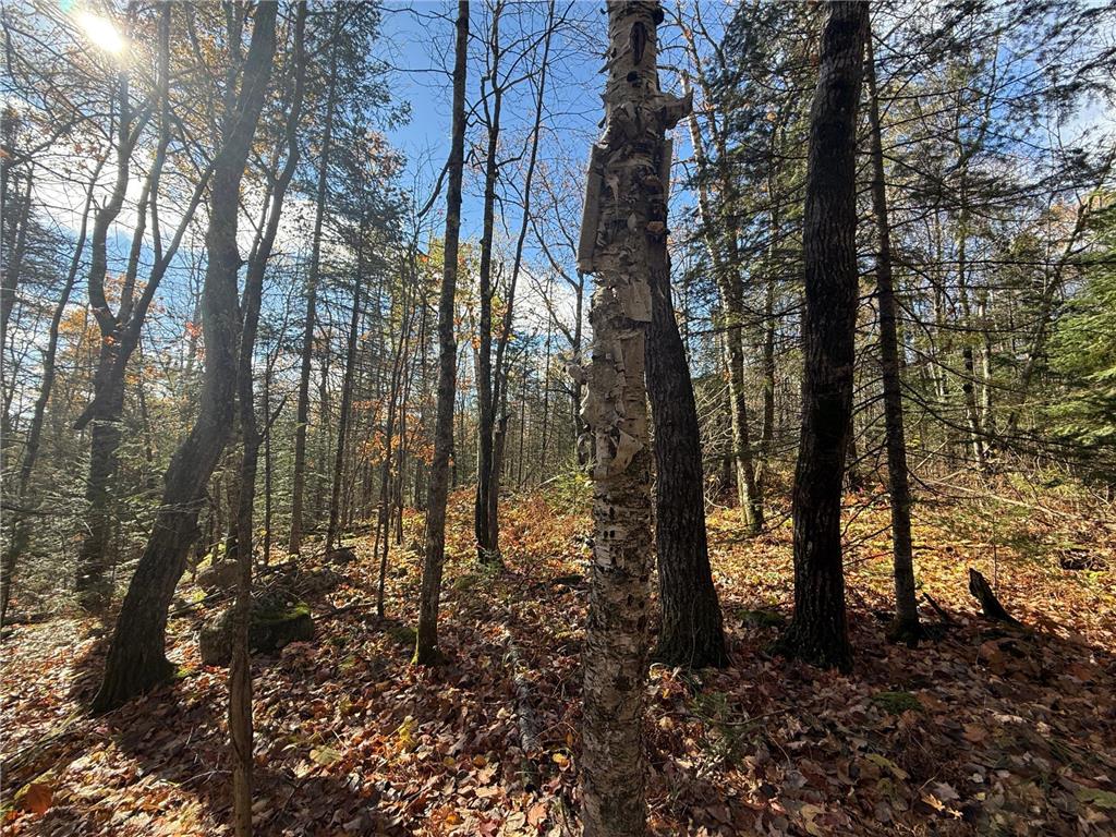 TBD French Rd. Chisholm MN 55719 6805686 image47