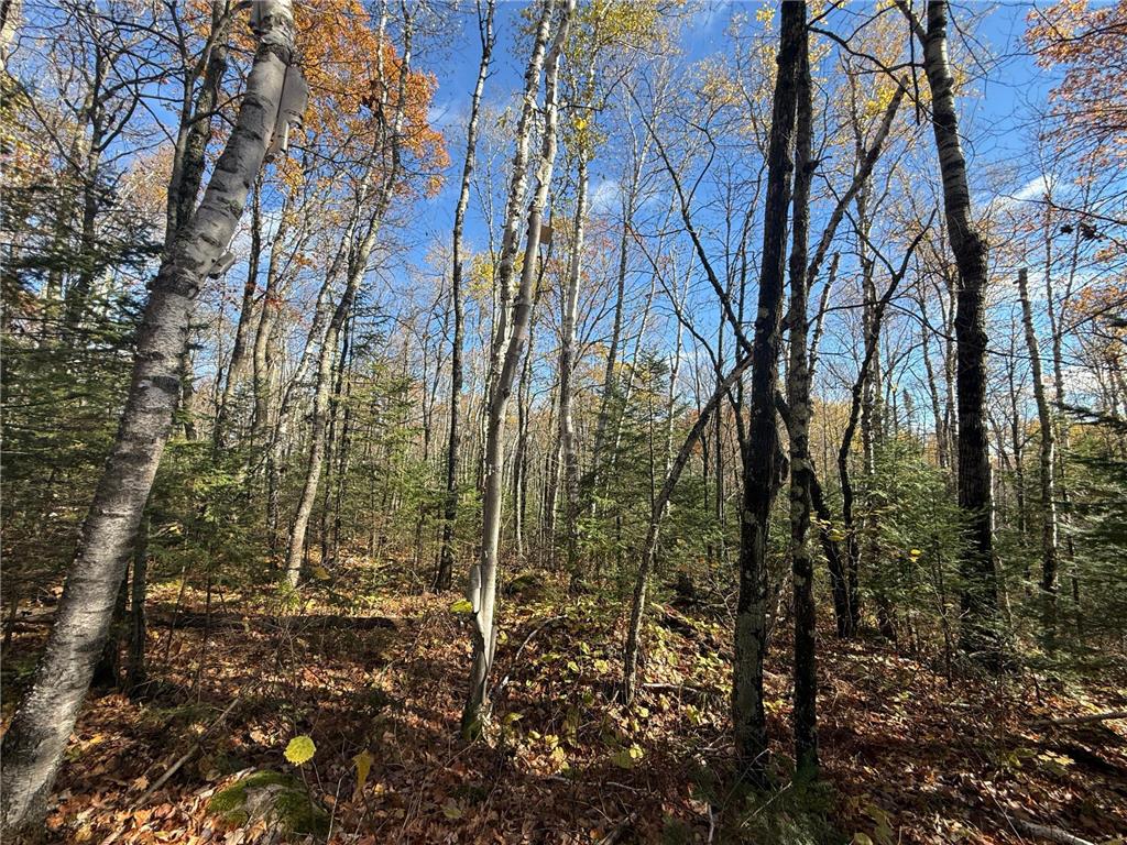 TBD French Rd. Chisholm MN 55719 6805686 image48