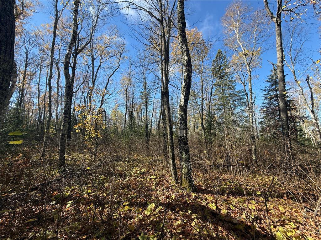 TBD French Rd. Chisholm MN 55719 6805686 image49