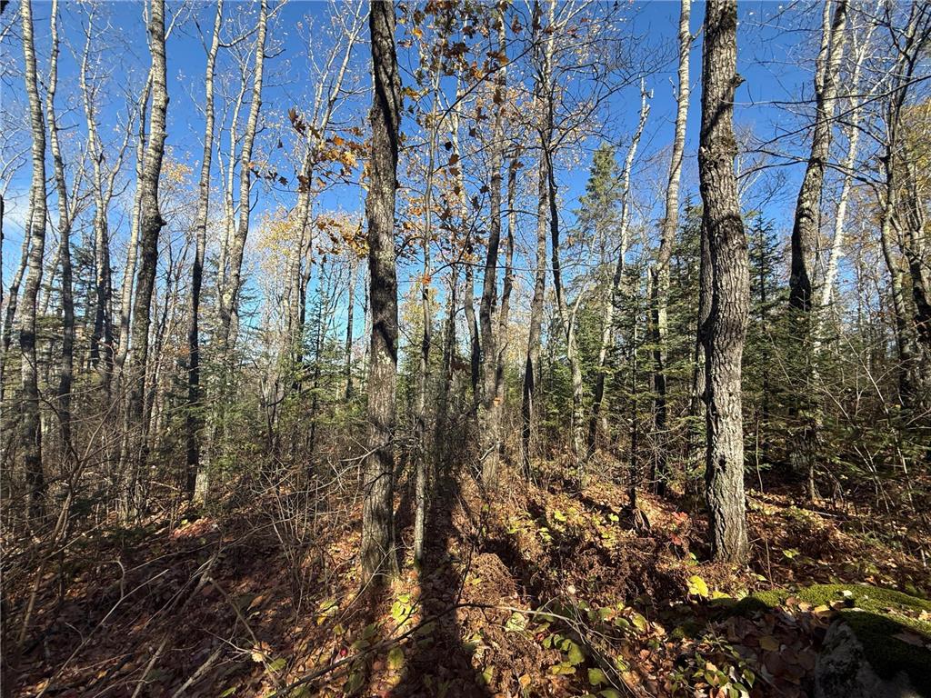 TBD French Rd. Chisholm MN 55719 6805686 image50