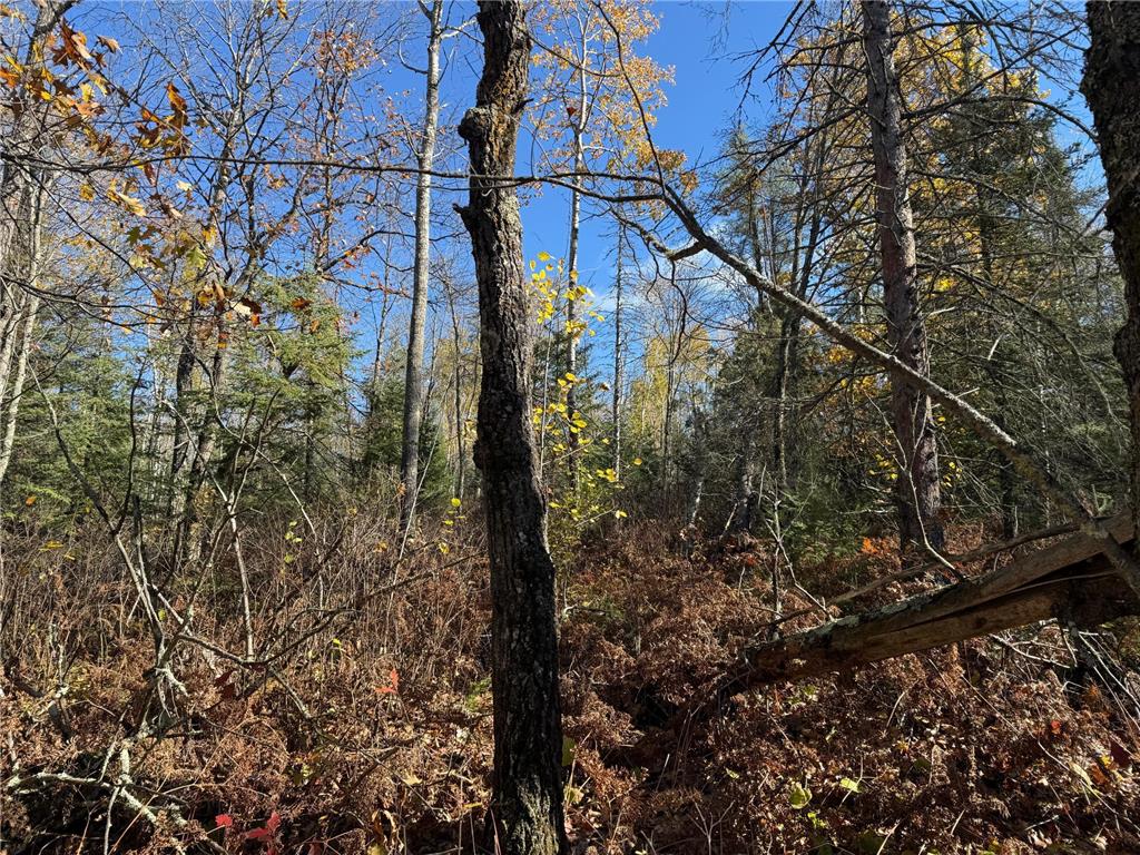 TBD French Rd. Chisholm MN 55719 6805686 image51